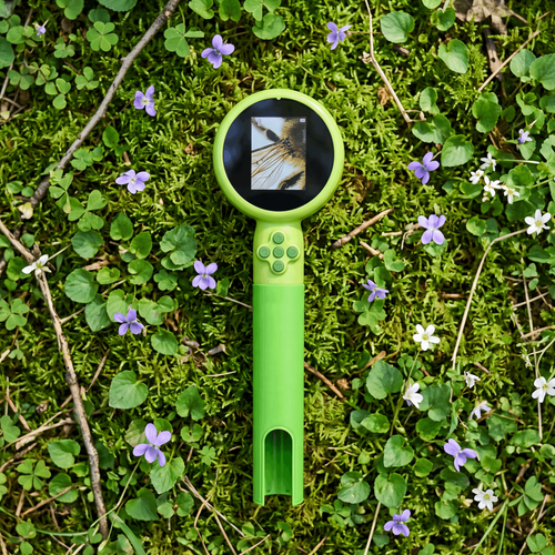 The Bug Buddy Discovery Scope™