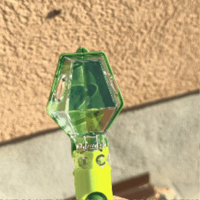 The Bug Buddy