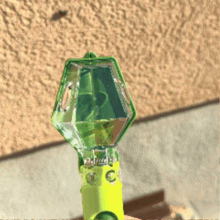 The Bug Buddy