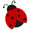 About the Bug Buddy